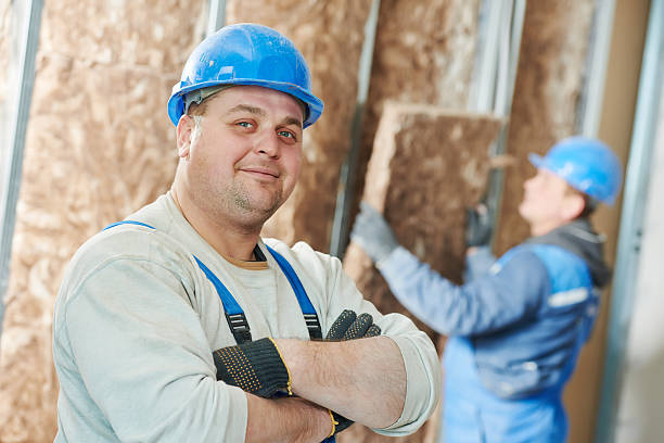 Best Insulation Maintenance and Repair in Aurora, SD